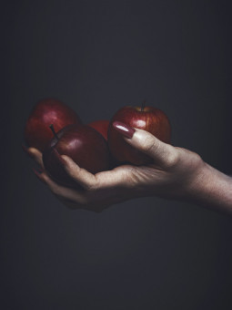 Affiche - Pome (THE VISUAL CHEF)