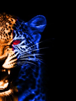 Poster - Afro Tigra