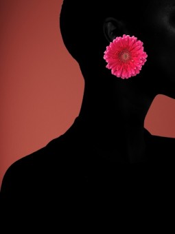 Affiche - Afro Moelle