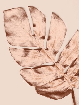 Poster - Aube - Accueil | Oueso - Contemporary Afro Art