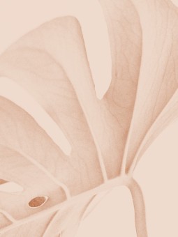 Poster -Solstice Silencieux