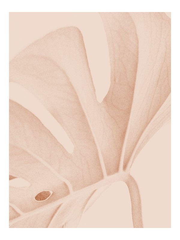 Poster -Solstice Silencieux