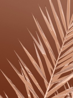 Poster - Lueur