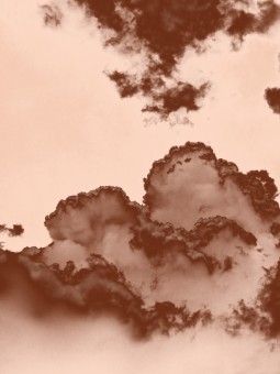 Poster - Brume Dorée