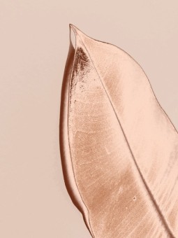 Poster - Douce - Accueil | Oueso - Contemporary Afro Art