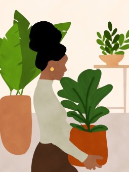Affiche - Afro plante
