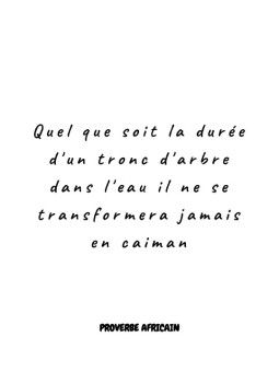 Affiche - Proverbe africain 8