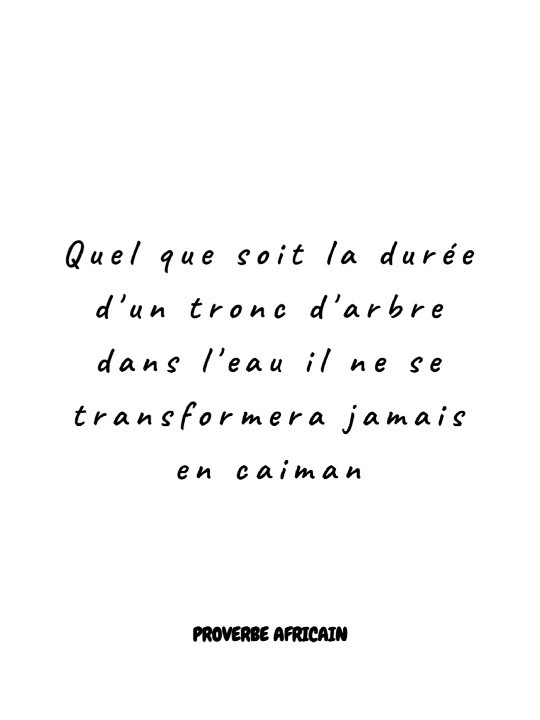Affiche - Proverbe africain 8-Accueil-OUESO