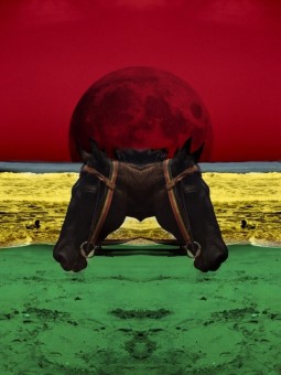 Affiche - Étalon (IVORIAN YOUTHH)