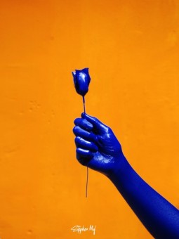 Poster - Blue Bloom (STEPHEN MOF)