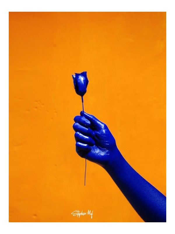 Affiche – Blue Bloom (STEPHEN MOF)
