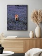 Affiche – Flower Field (STEPHEN MOF)