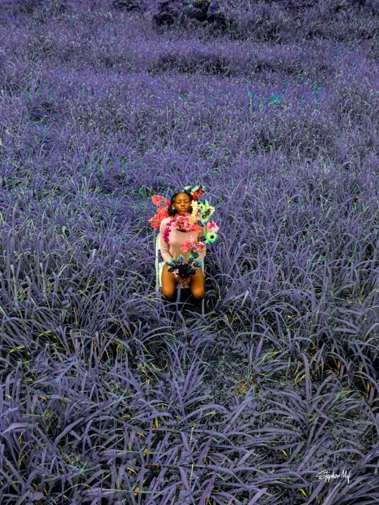Affiche – Flower Field (STEPHEN MOF)-Affiches-OUESO