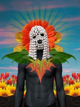 Poster - Afro Ocre (Blvck vrtist)