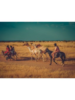 Poster - Afro Adebayo (MOHA SHEIKH)