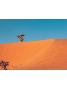 Poster - Balé (MOHA SHEIKH)