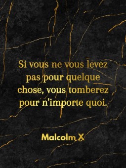 Afiiche - Malcolm X