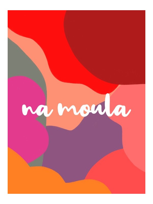 Poster - Na moula