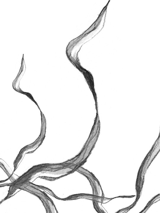 Affiche - Flaw-Affiches-OUESO