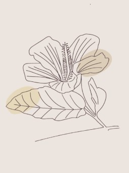 Affiche - Flore