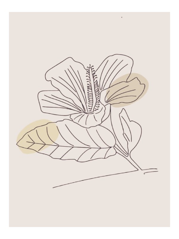 Poster - Flore