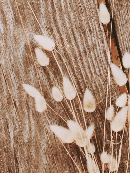 Affiche - Floww-Affiches-OUESO