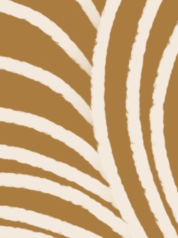 Poster - Zebra