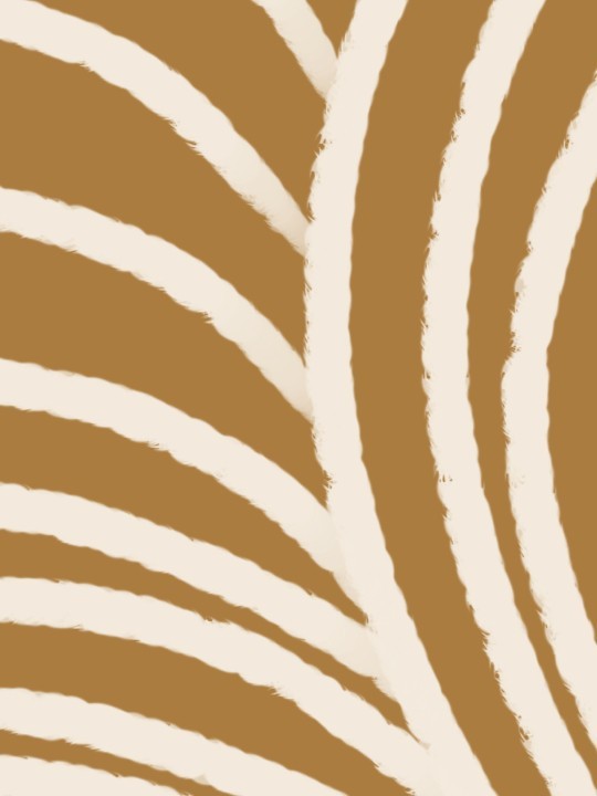 Affiche - Zebra-Affiches-OUESO