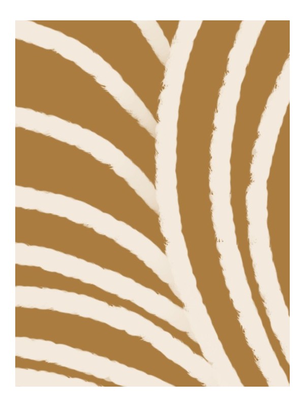 Poster - Zebra