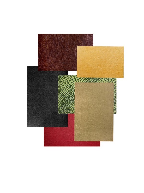 Poster - Square