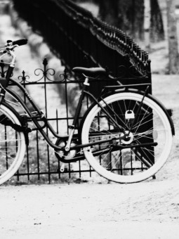 Poster - Vélo - Posters | Oueso - Contemporary Afro Art