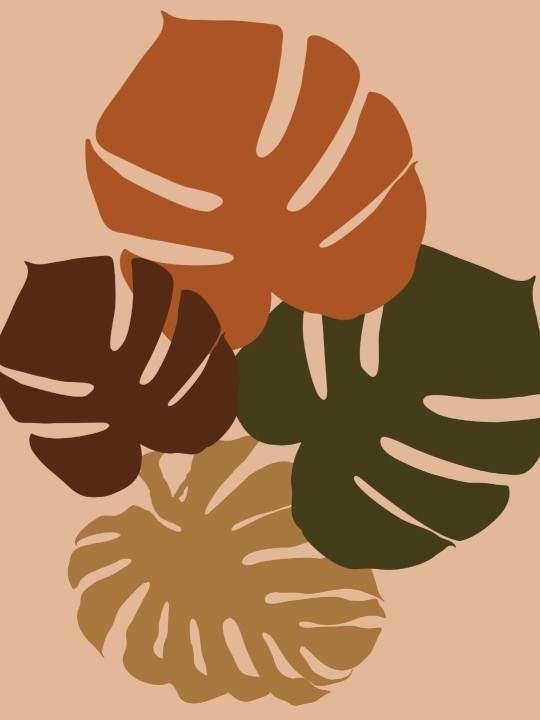 Affiche - Bouuot-Affiches-OUESO