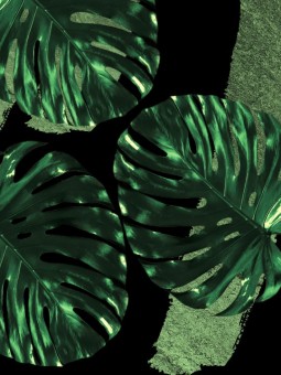 Affiche - Palm green