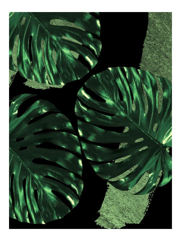 Poster -Palm green