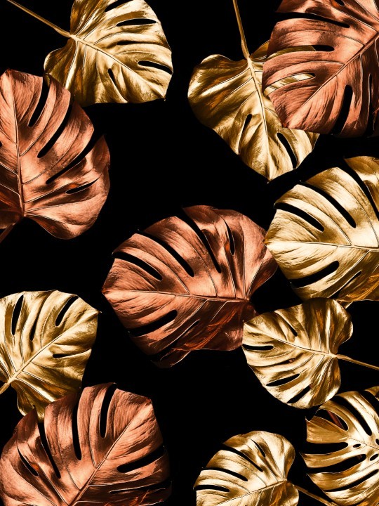 Affiche - Palm Dindee-Posters-OUESO