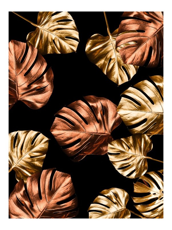 Affiche - Palm Dindee - Posters | Oueso - Contemporary Afro Art