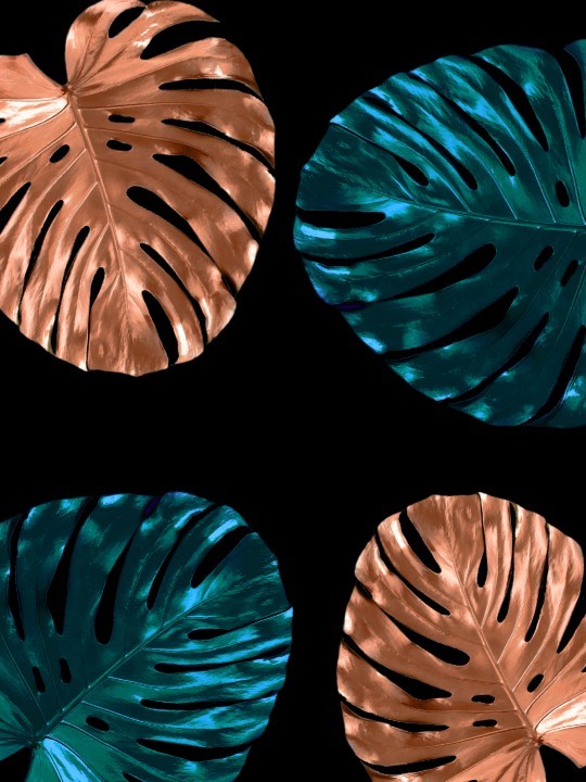 Affiche - Palm Lilas Affiche - Palm Lilas-Affiches-OUESO