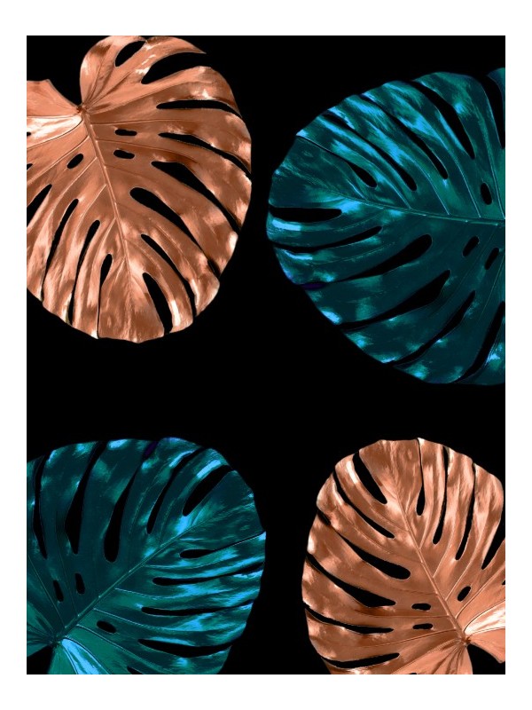 Poster - Palm Lilas