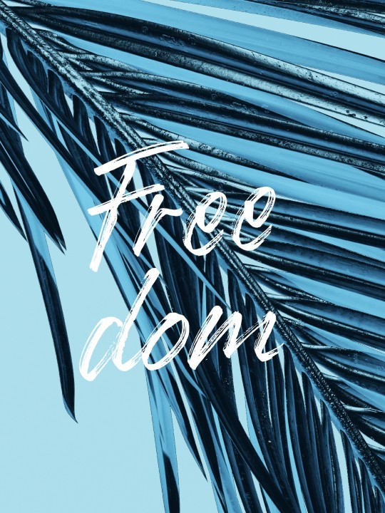 Affiche - Free dom Affiche - Free dom-Affiches-OUESO