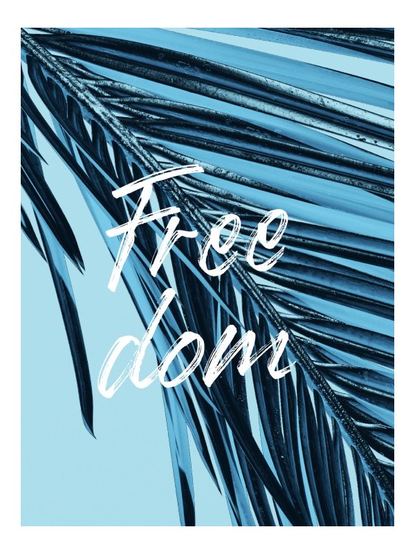 Affiche - Free dom Affiche - Free dom