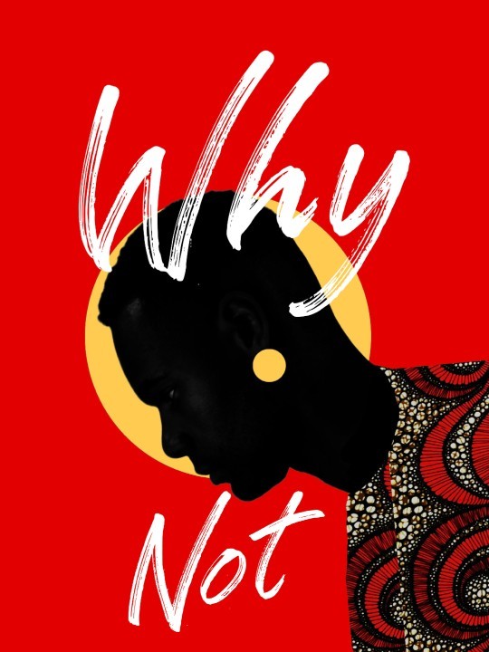 Poster - Why not-Posters-OUESO