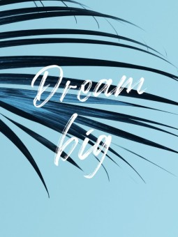 Affiche - Dream big