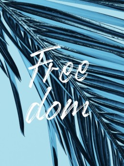 Affiche - FREE DOM 1