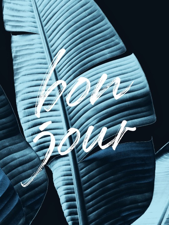 Poster - Free sout-Posters-OUESO