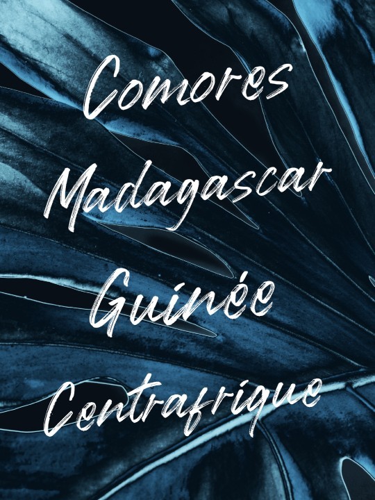 Affiche - Pays 2-Affiches-OUESO