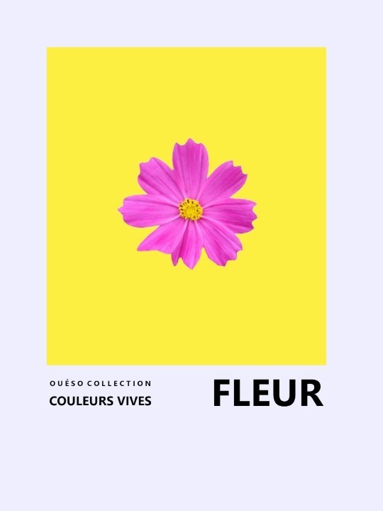 Affiche - Fleur-Affiches-OUESO