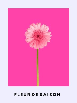 Poster - Fleur de saision
