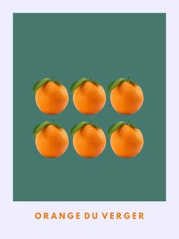 Poster -Orange du verger