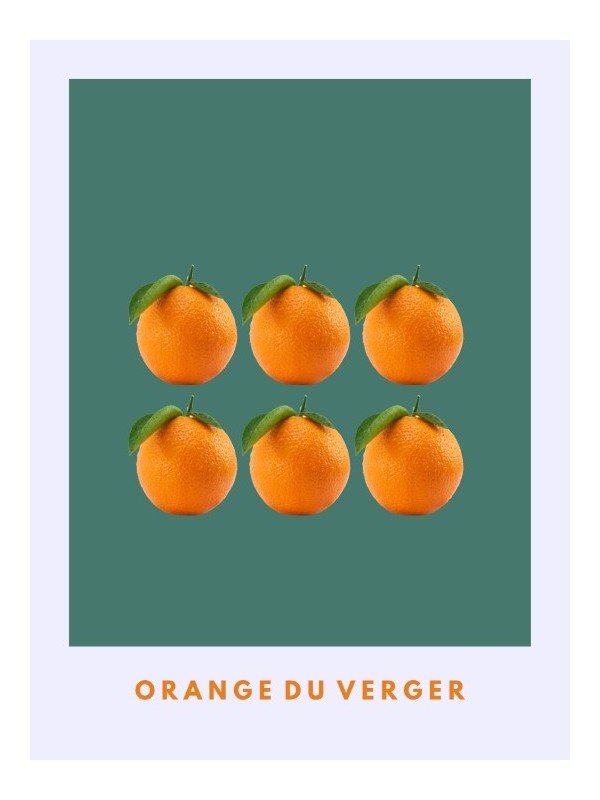 Affiche - Orange du verger Affiche - Orange du verger