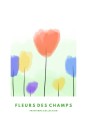 Affiche - Fleurs des champs